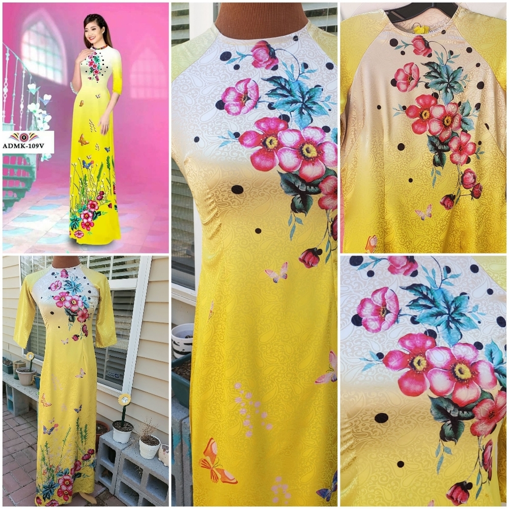 Vietnamese dress